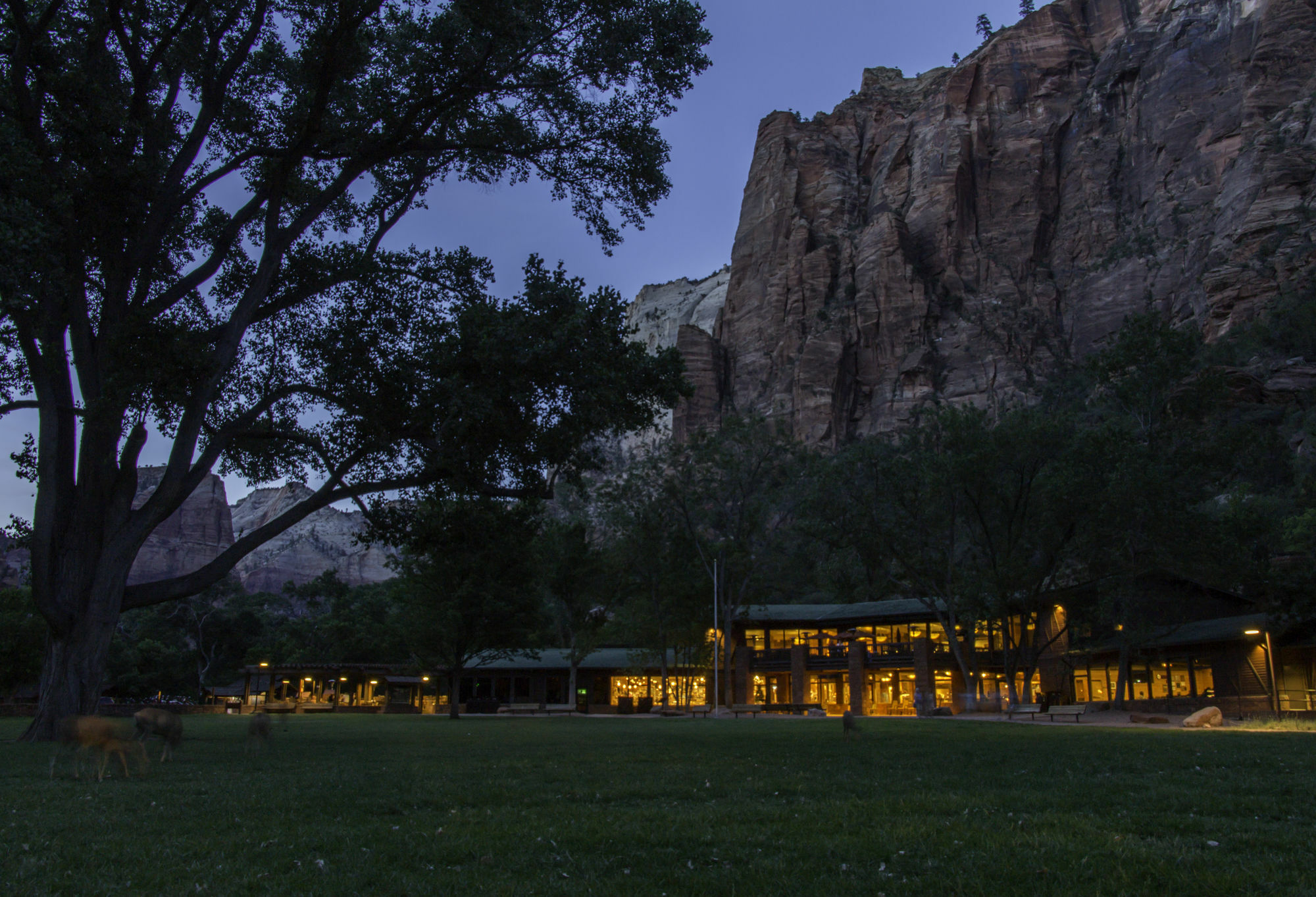 Zion Lodge Springdale Εξωτερικό φωτογραφία